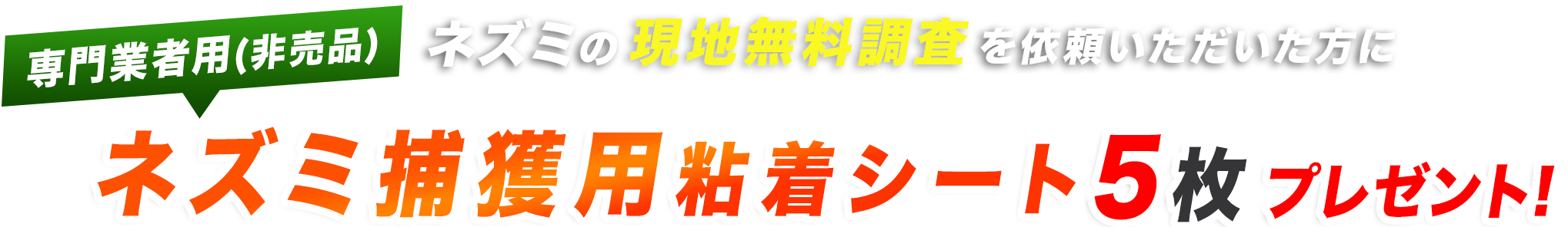 ネズミの現地無料調査を依頼いただいた方に専門業者用(非売品) ネズミ捕獲用粘着シート5枚プレゼント!