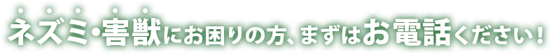 ネズミ・シロアリにお困りの方、まずはお電話ください！