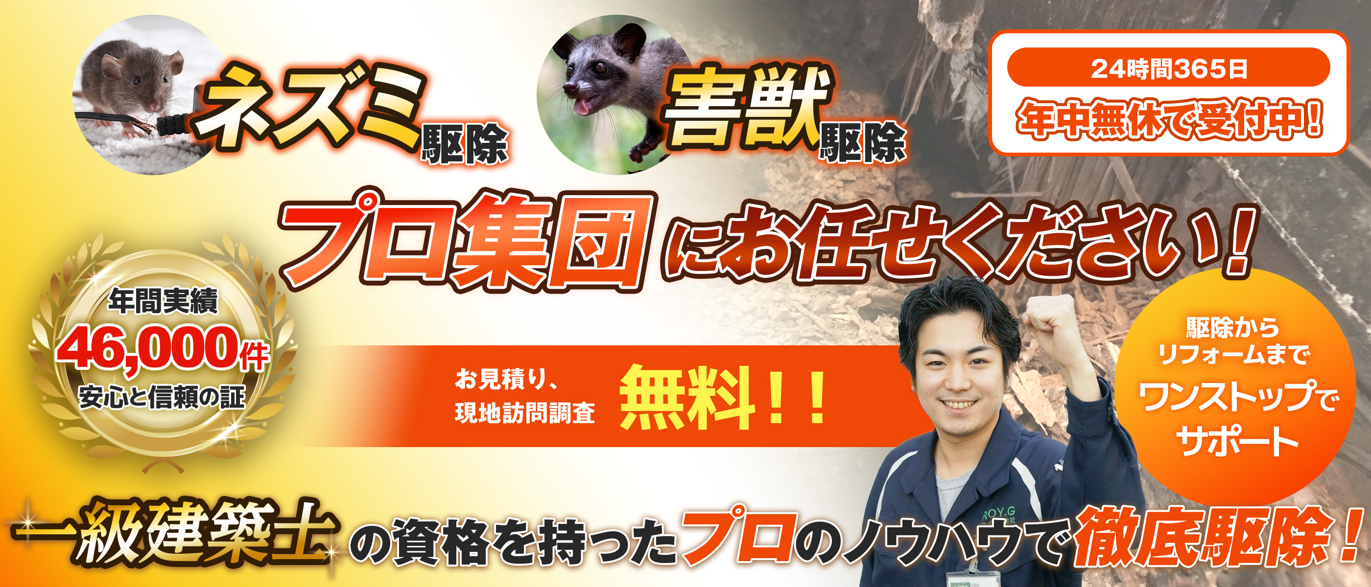 ネズミ駆除害獣駆除、プロ集団にお任せください！一級建築士の資格を持ったプロが伺います!!お見積り、現地訪問調査無料!!