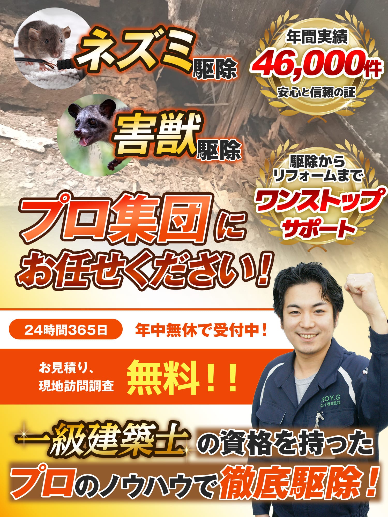 ネズミ駆除害獣駆除、プロ集団にお任せください！一級建築士の資格を持ったプロが伺います!!お見積り、現地訪問調査無料!!