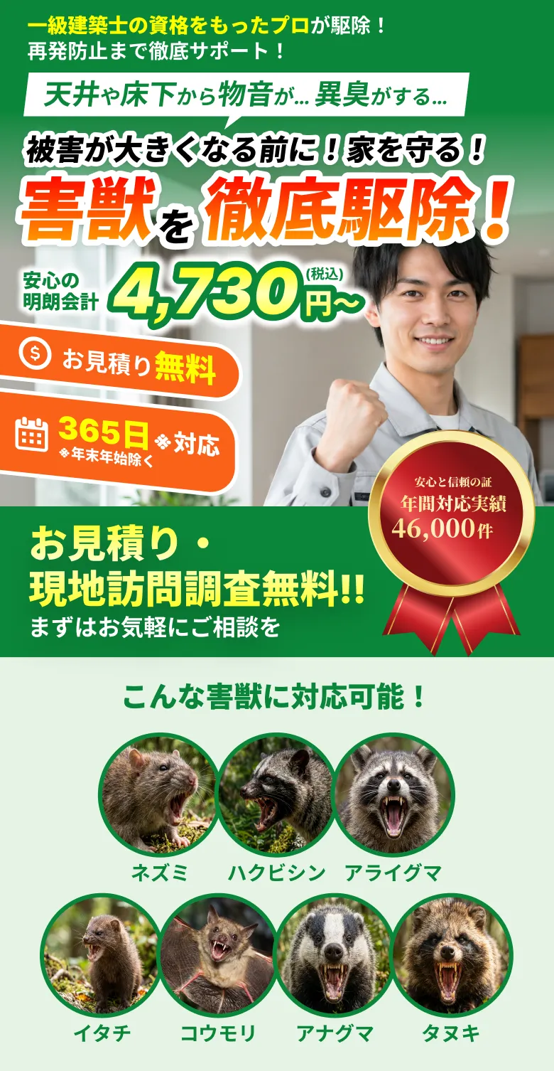 被害が大きくなる前に！家を守る！害獣を徹底駆除！
